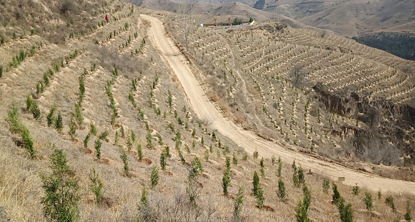 1649295990127391.png 圖片1.png